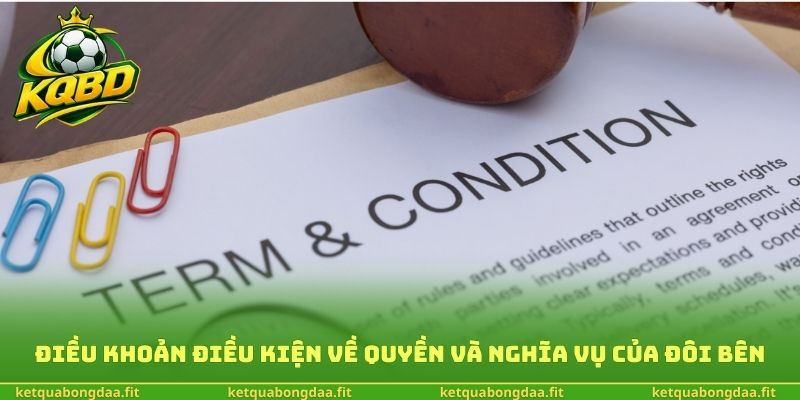 Điều khoản điều kiện về quyền và nghĩa vụ của đôi bên